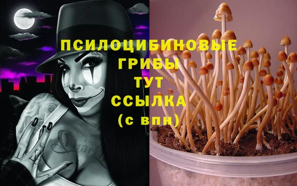 кокаин колумбия Вязьма